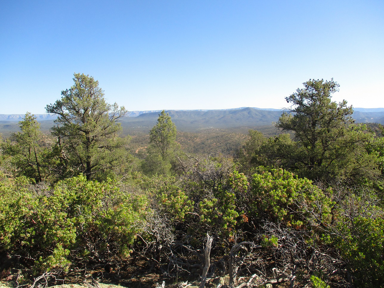 Agate Mountain Ridge, Arizona