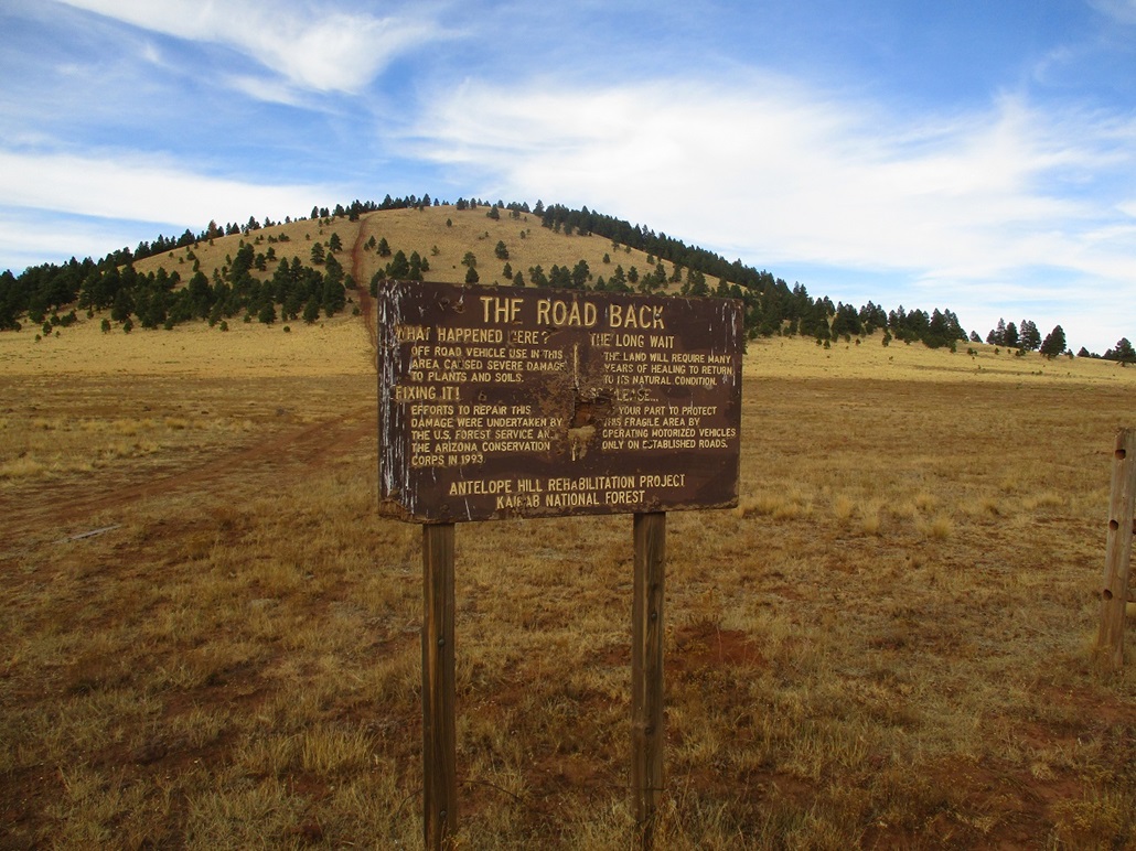 Antelope Hill Coconino Forest, Arizona