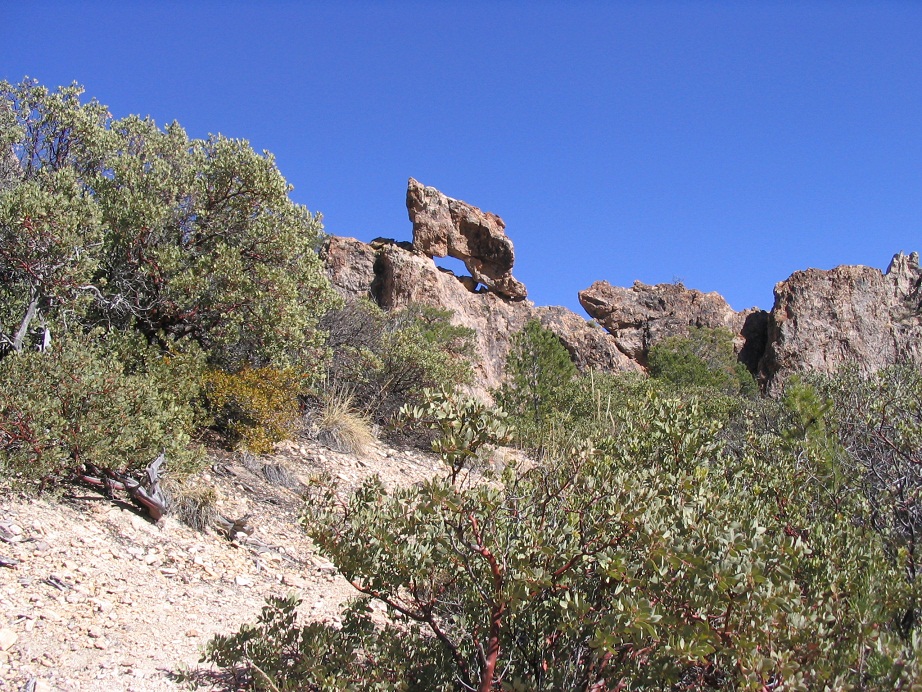 Bassett Peak, Arizona