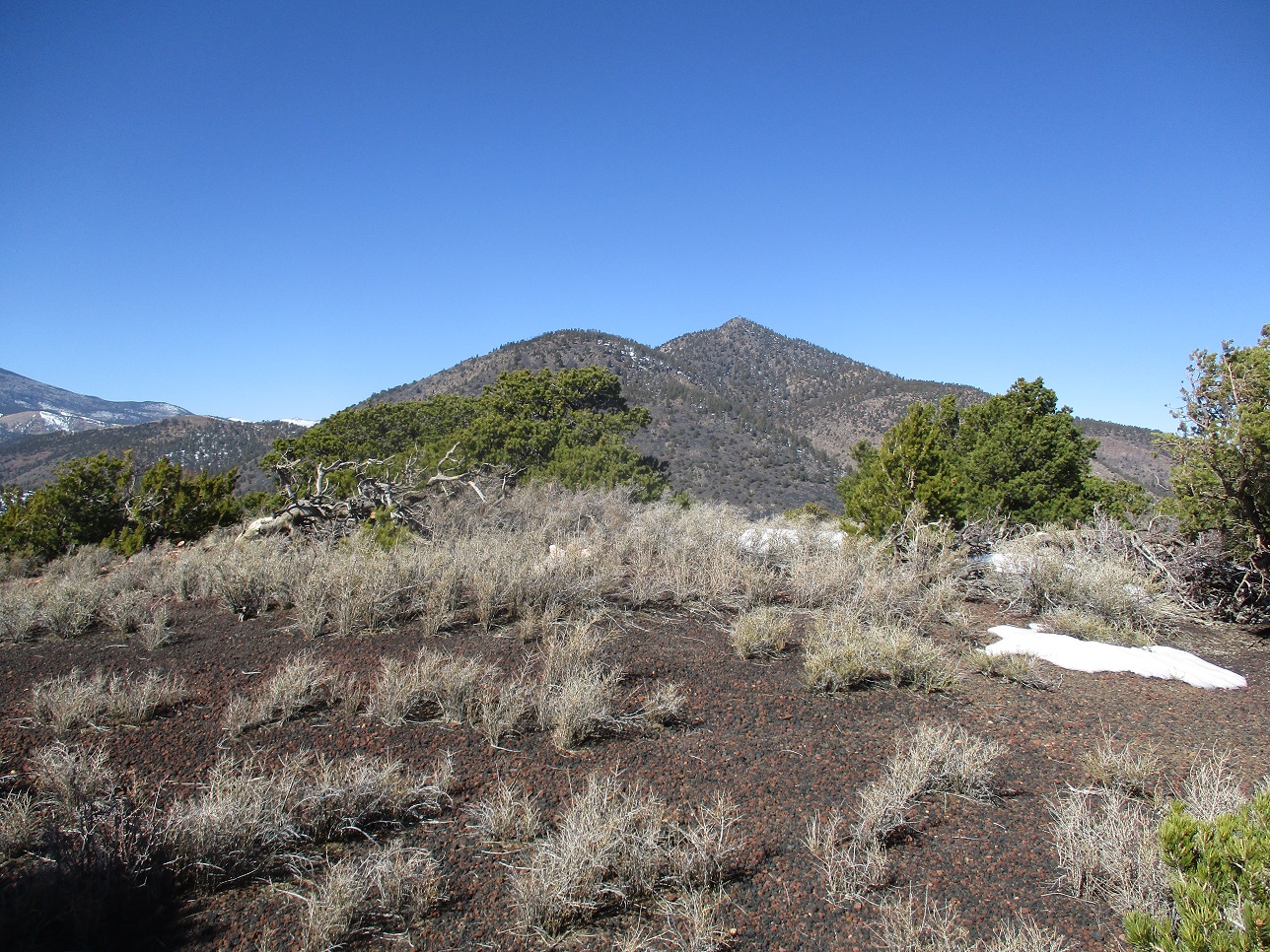 Double Crater Cinder Hills, Arizona