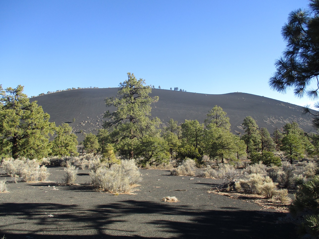 Double Crater Cinder Hills, Arizona