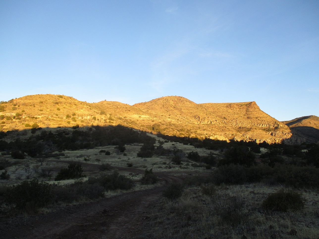 Black Ridge Alder Hill, Arizona