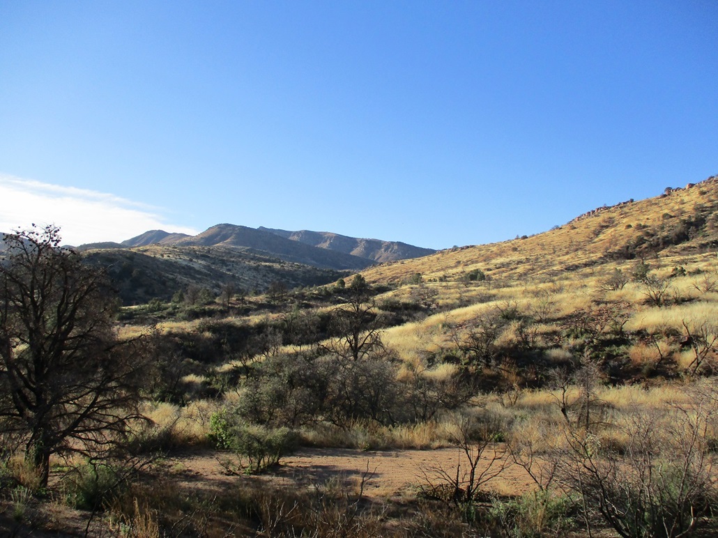 Blair Benchmark, Hog Mountain, Arizona