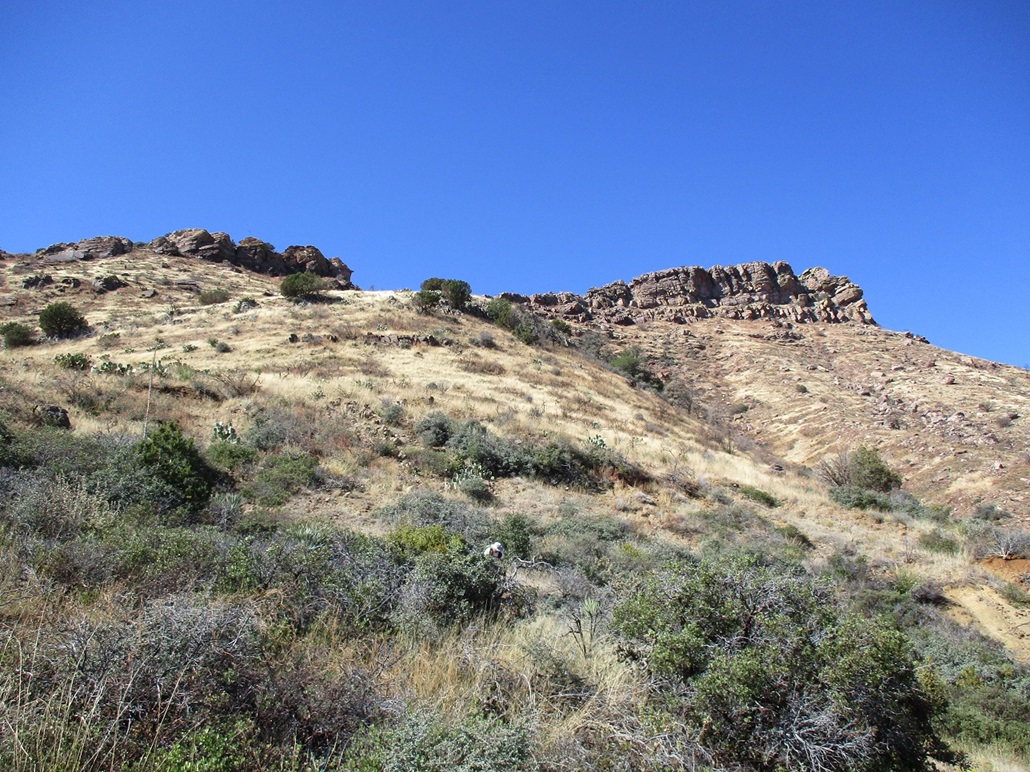 Blair Benchmark, Hog Mountain, Arizona