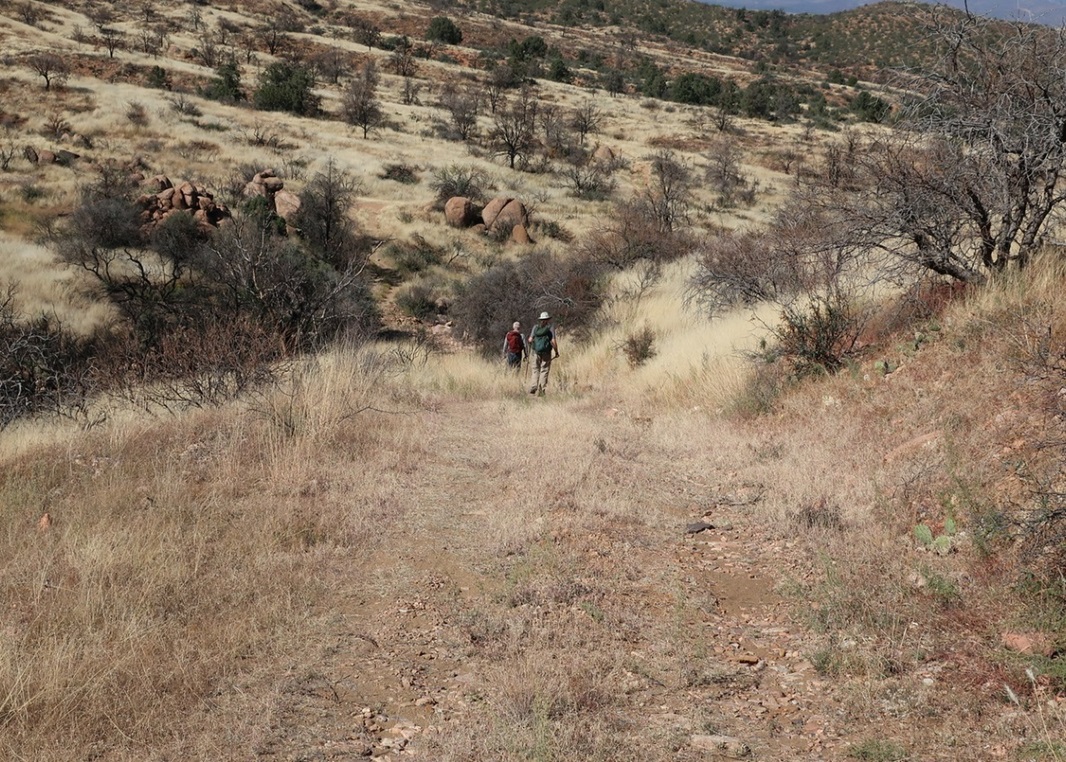 Blair Benchmark, Hog Mountain, Arizona