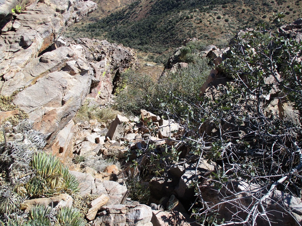 Blair Benchmark, Hog Mountain, Arizona