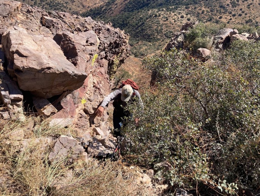 Blair Benchmark, Hog Mountain, Arizona