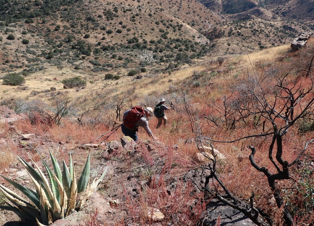 Blair Benchmark, Hog Mountain, Arizona