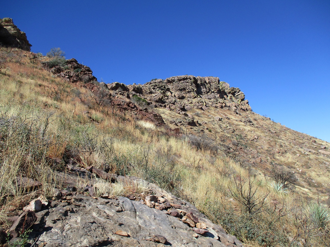 Blair Benchmark, Hog Mountain, Arizona