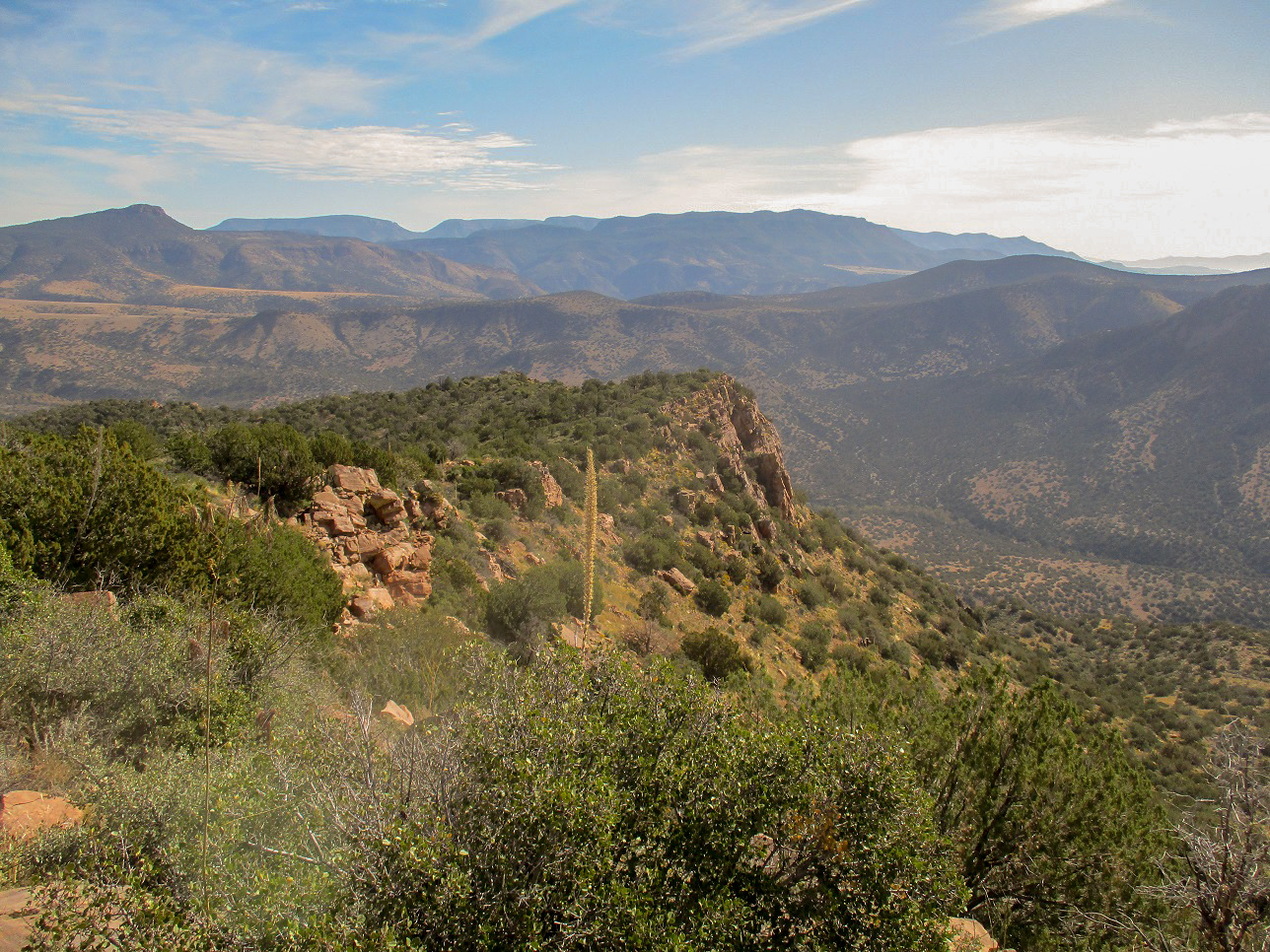 Boneyback Peak, Arizona