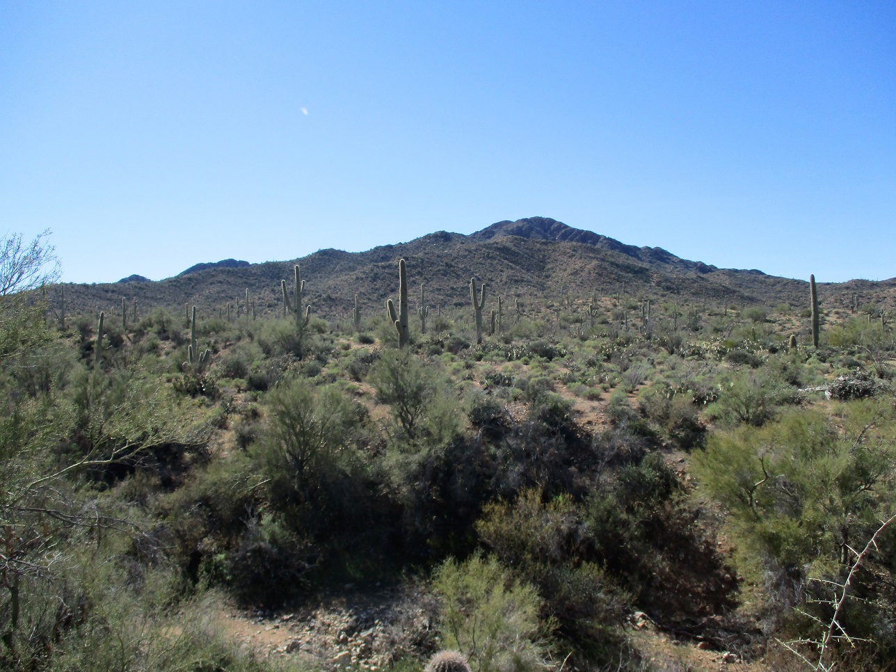 Brownell Mountain, Arizona