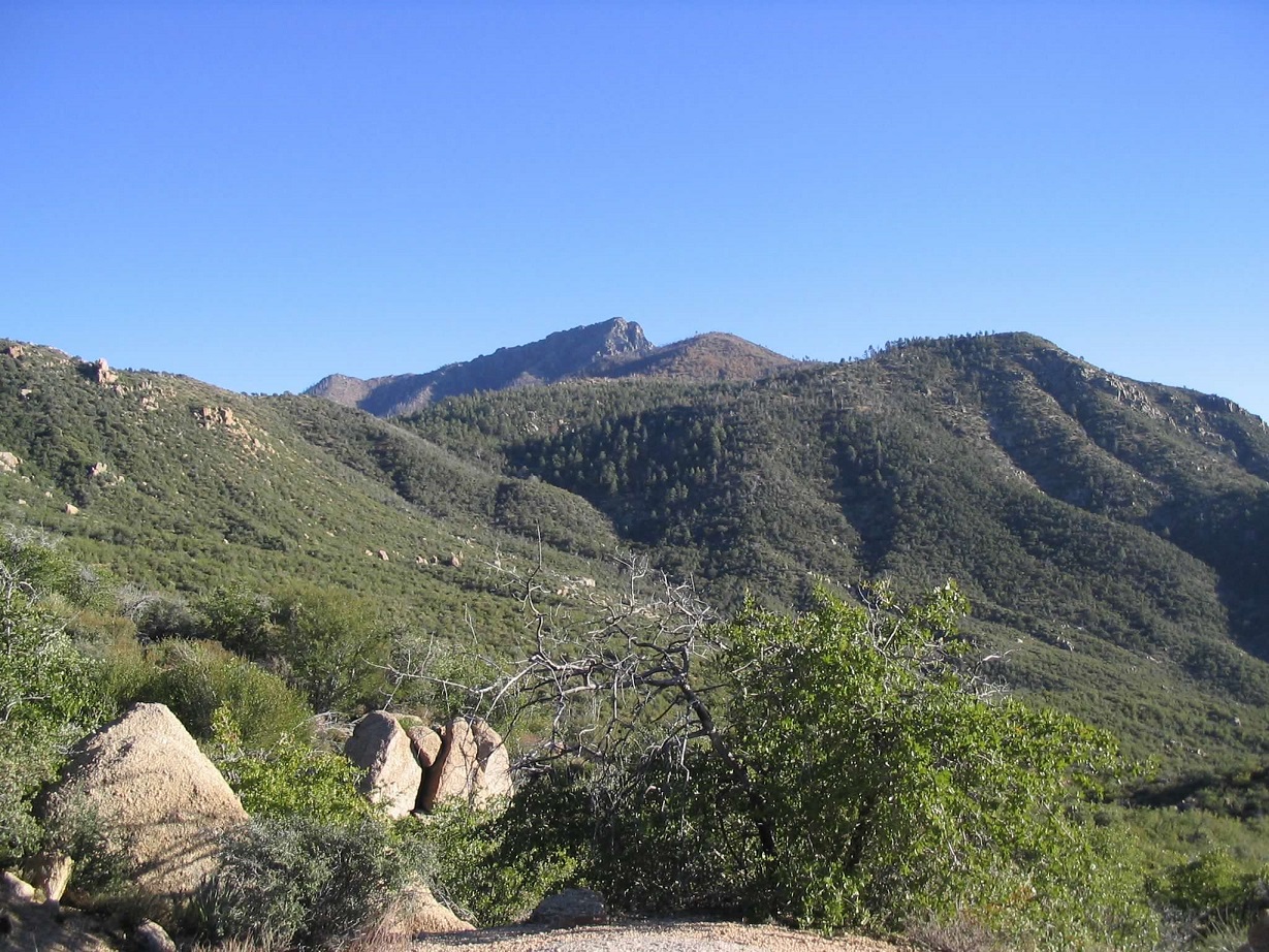 Browns Peak, Arizona