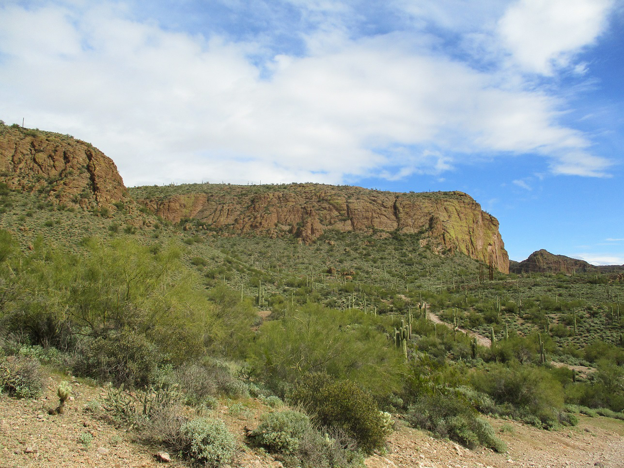 Mormon Flat Peak, Arizona