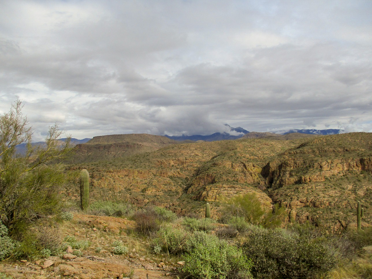 Mormon Flat Peak, Arizona