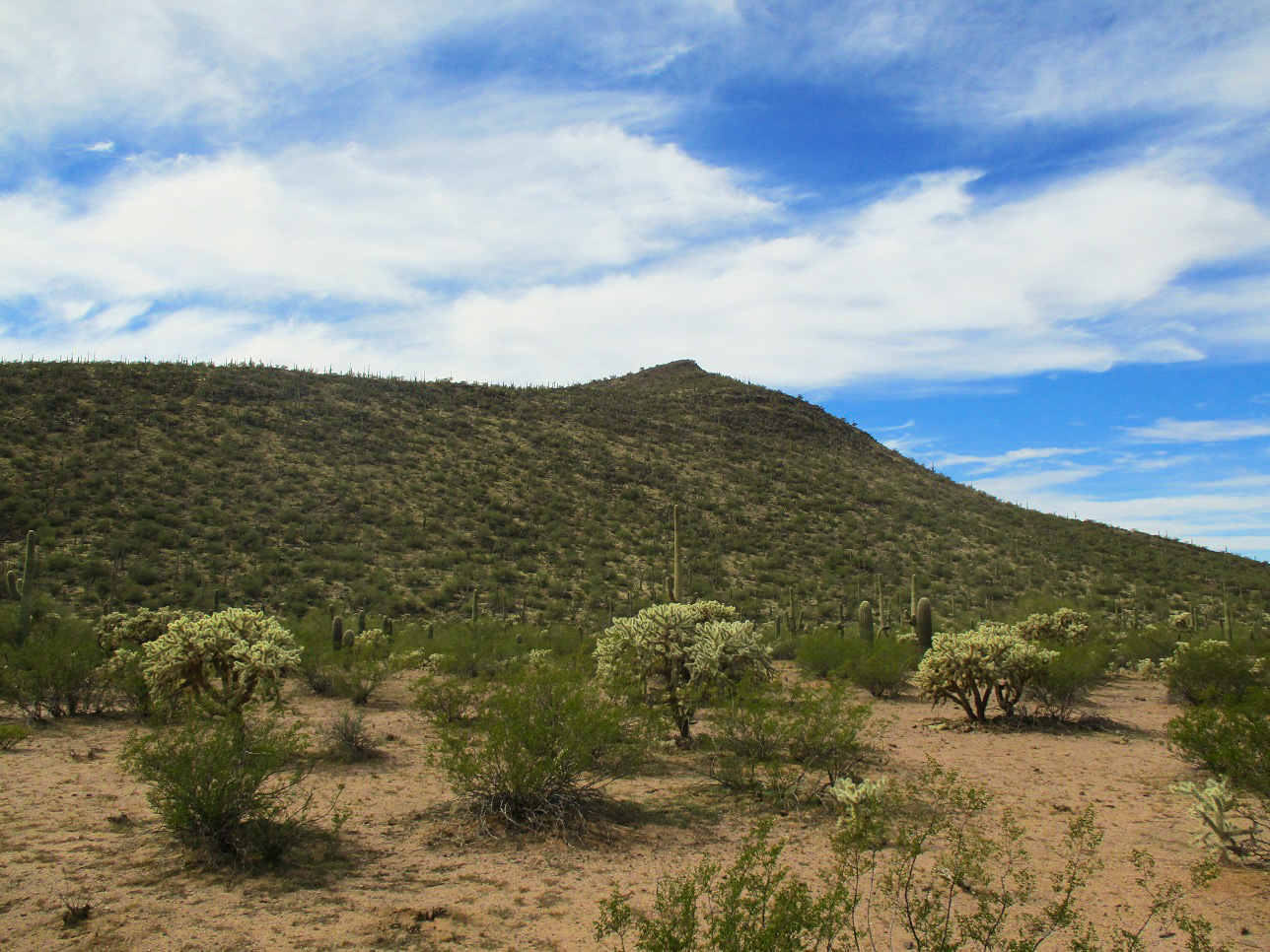 Cerro Prieto, Arizona