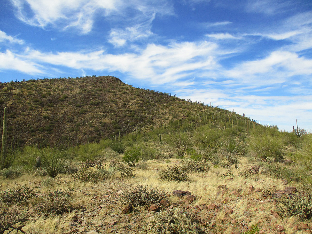 Cerro Prieto, Arizona
