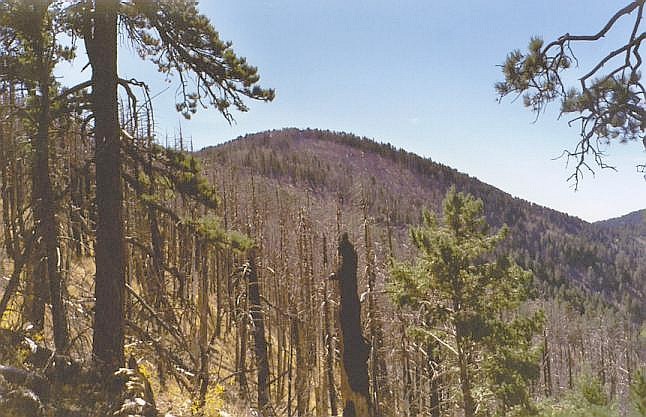 Chiricahua Peak, Arizona