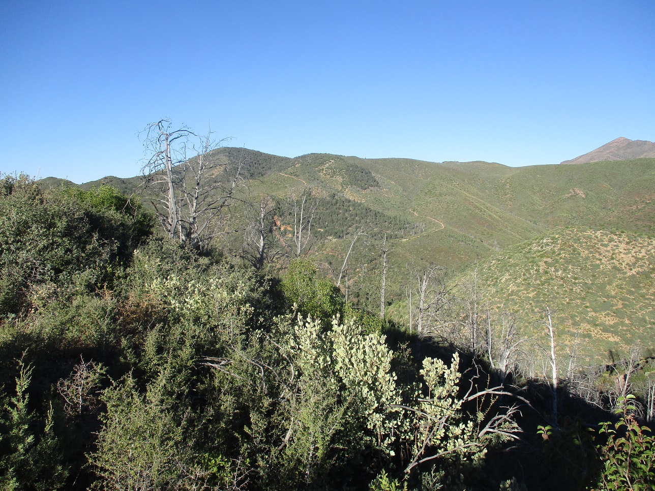 Cornucopia Ridge, Arizona