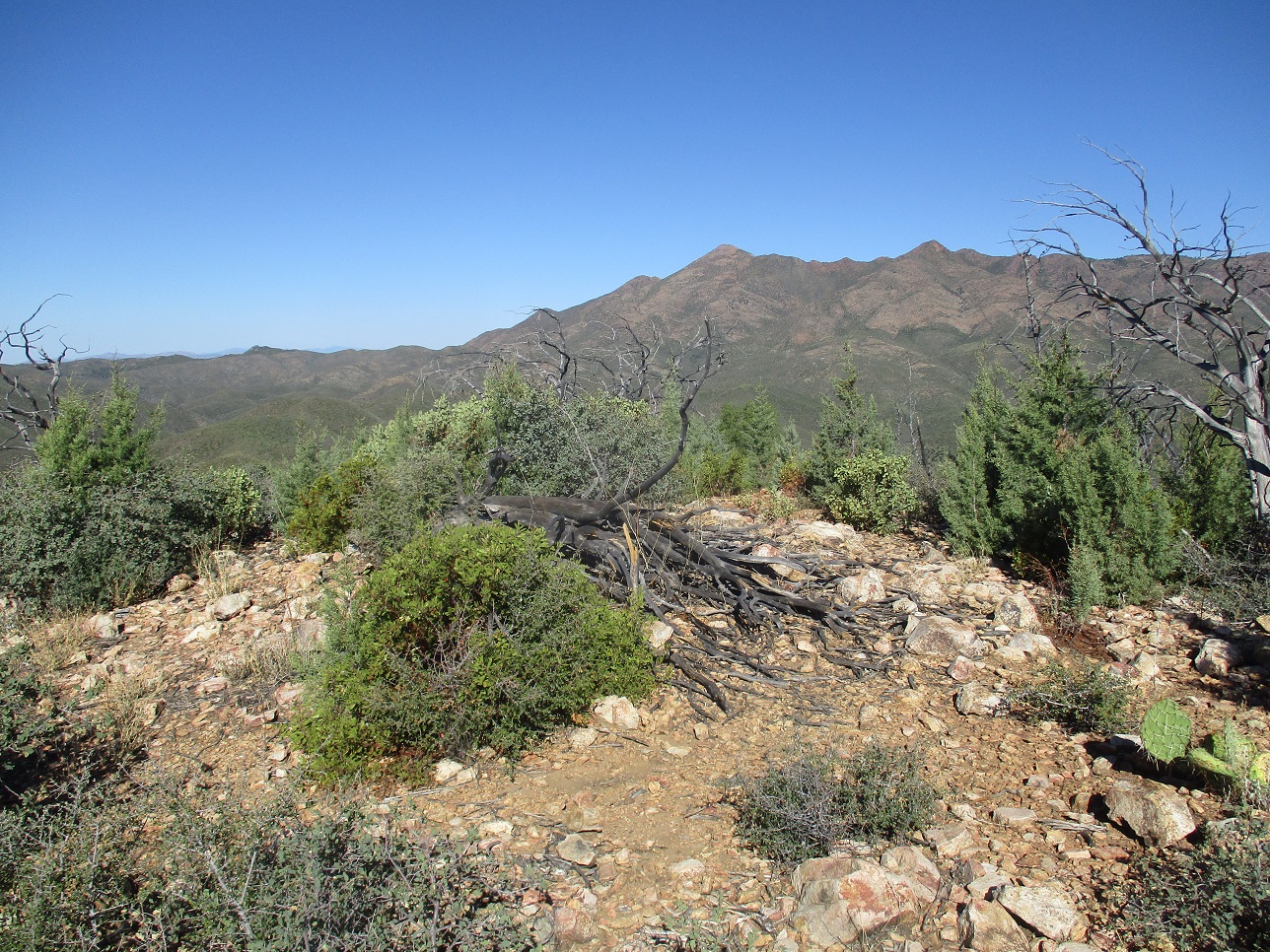 Cornucopia Ridge, Arizona