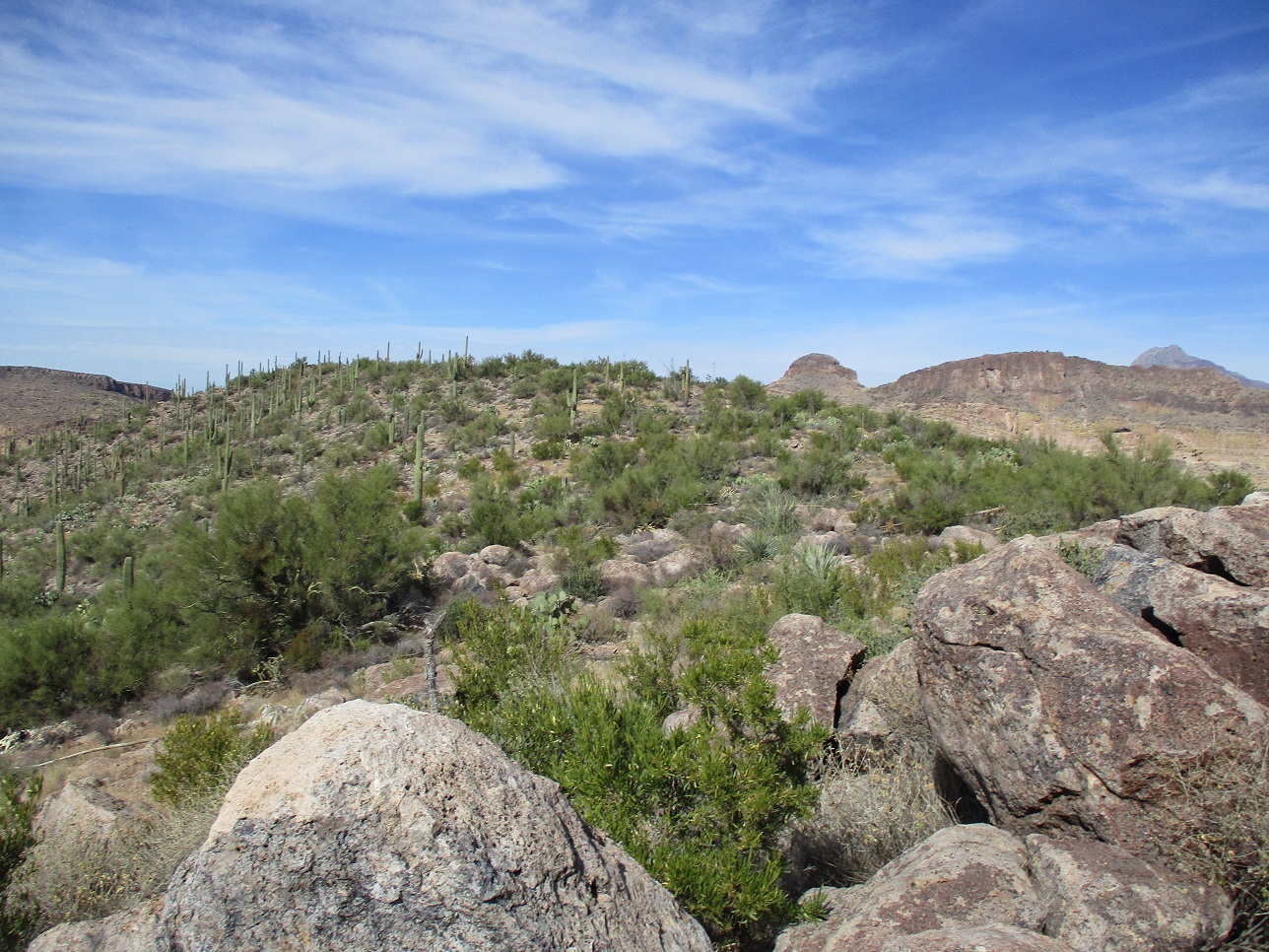 Coronado Mesa, Arizona