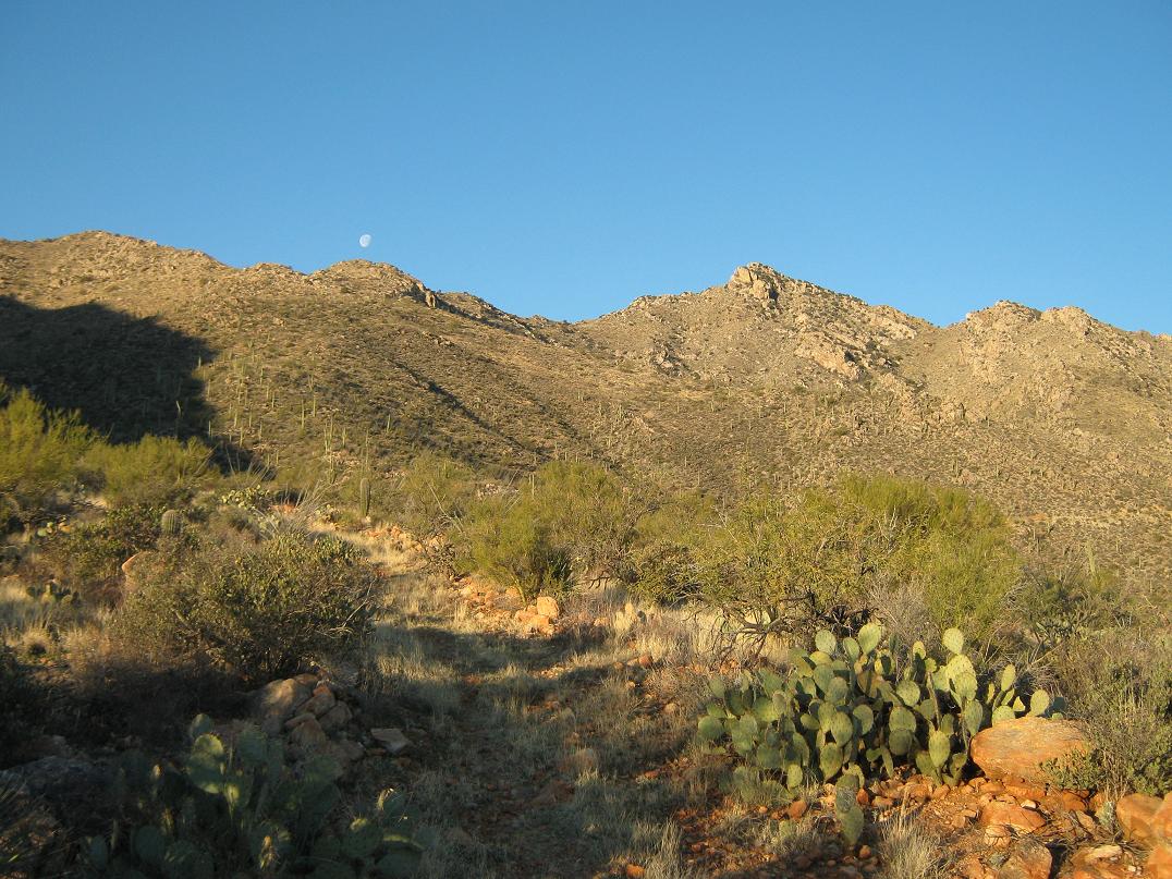 Coyote Mountain, Arizona