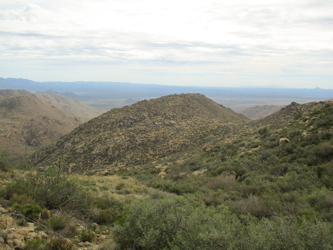 Date Creek Mountain, Arizona