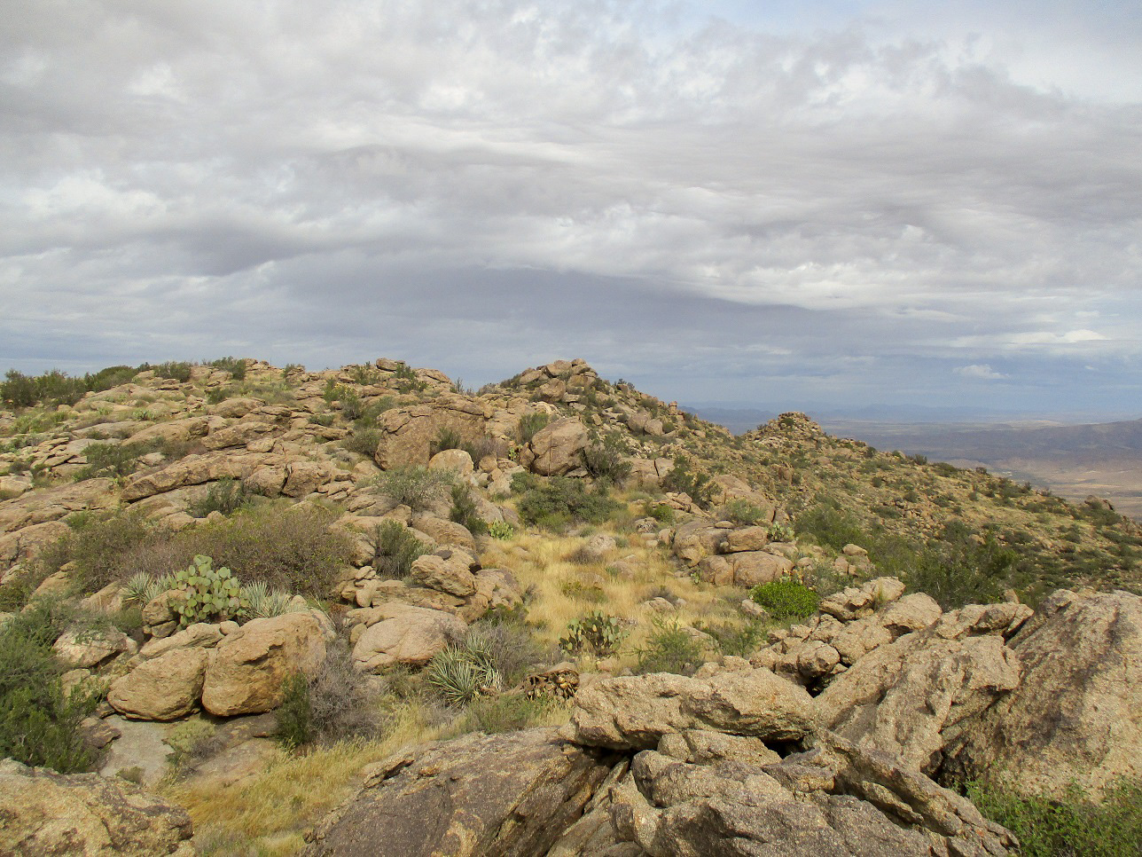 Date Creek Mountain, Arizona