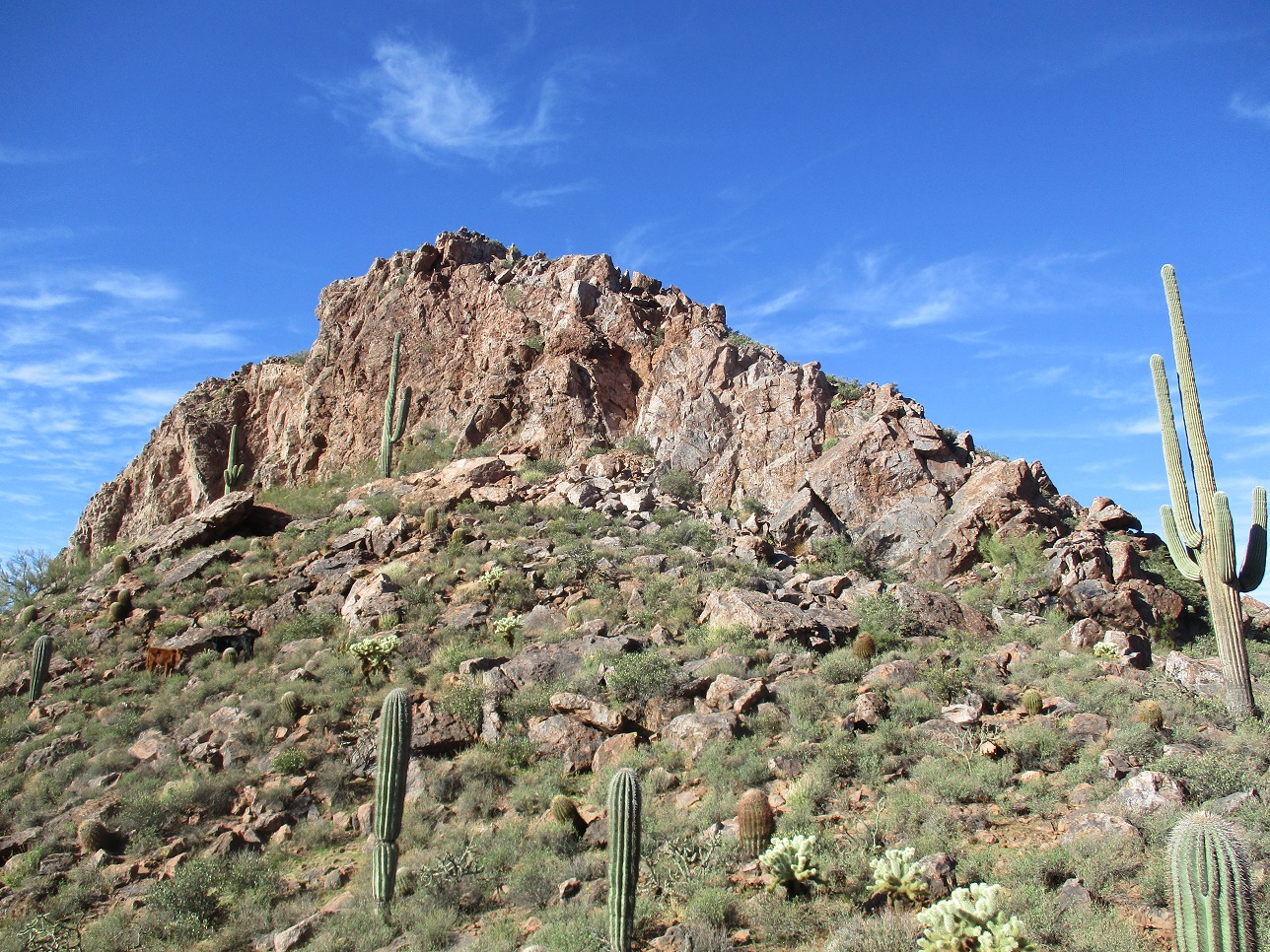 Dinosaur Mountain, Arizona