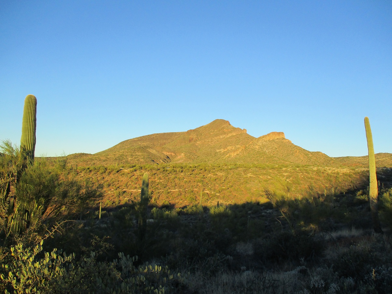 Elephant Mountain, Arizona