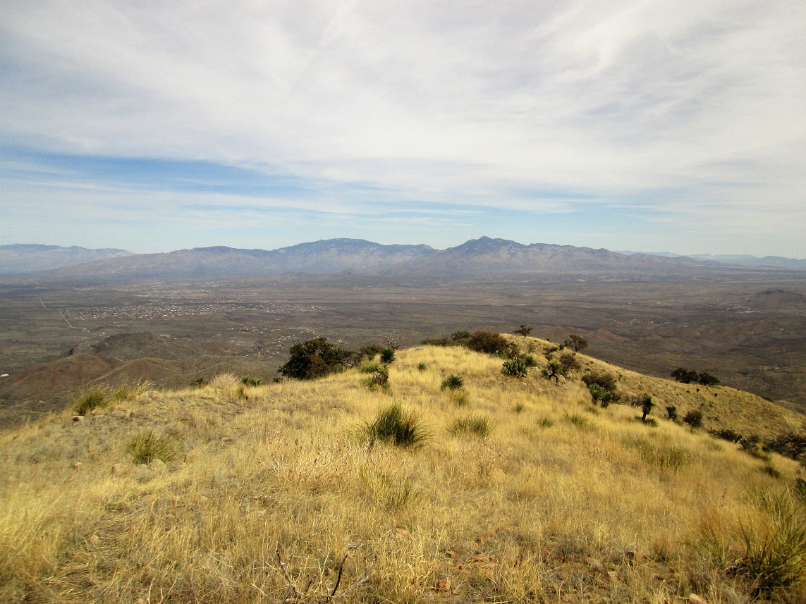 Mount Fagan, Arizona