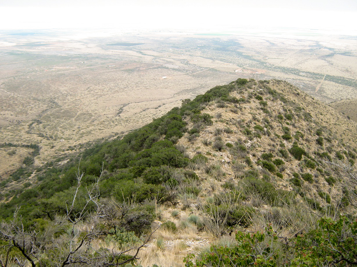 Mount Glenn, Arizona