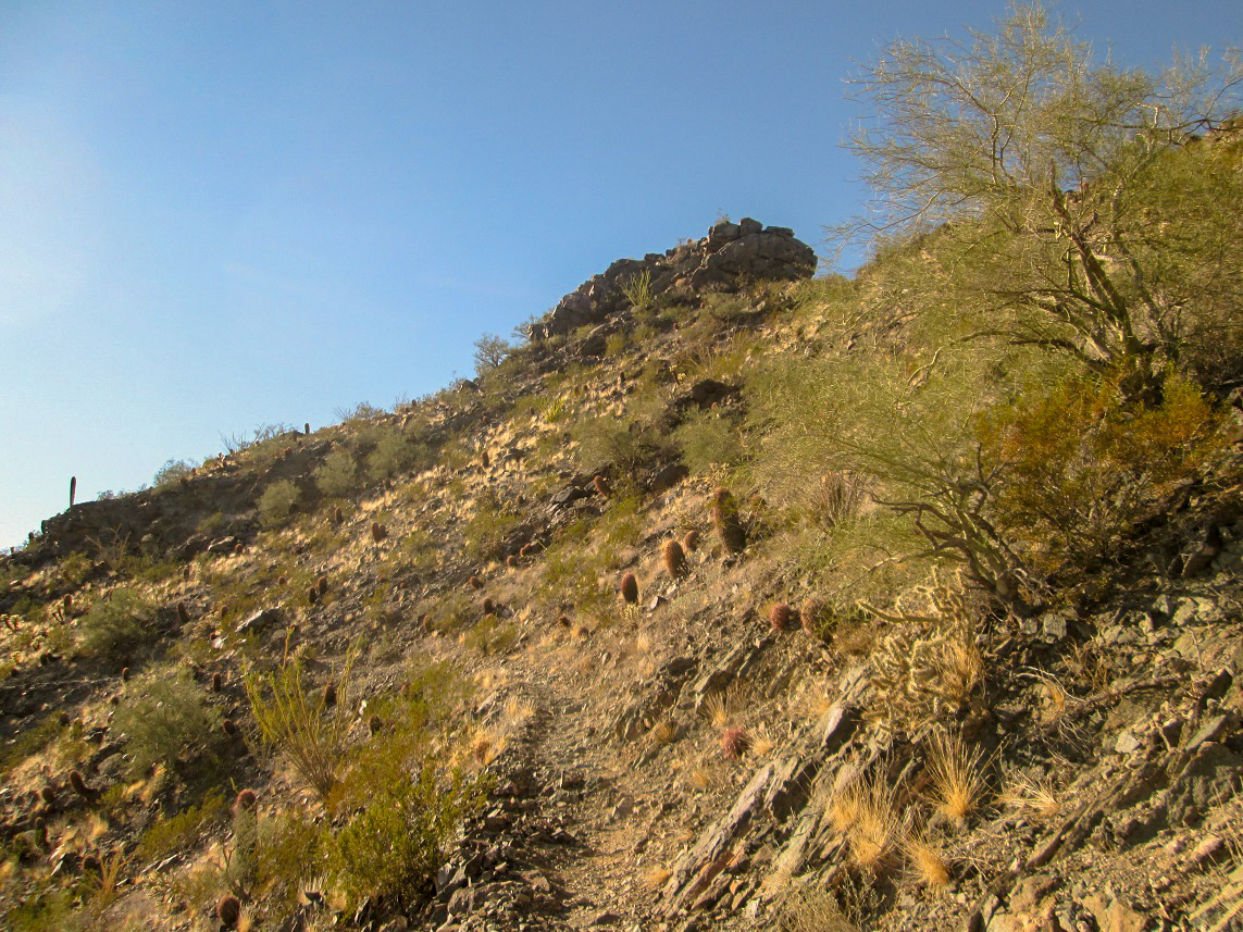 Goat Hill South Mountain Phoenix, Arizona
