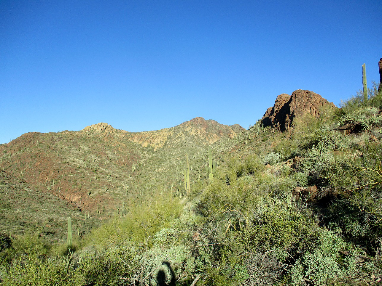 Governors Mountain, Arizona