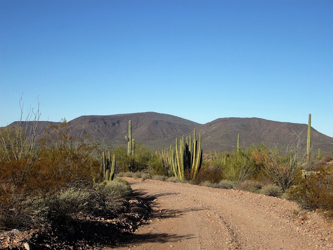 Guadu Benchmark Cipriano Hills, Arizona