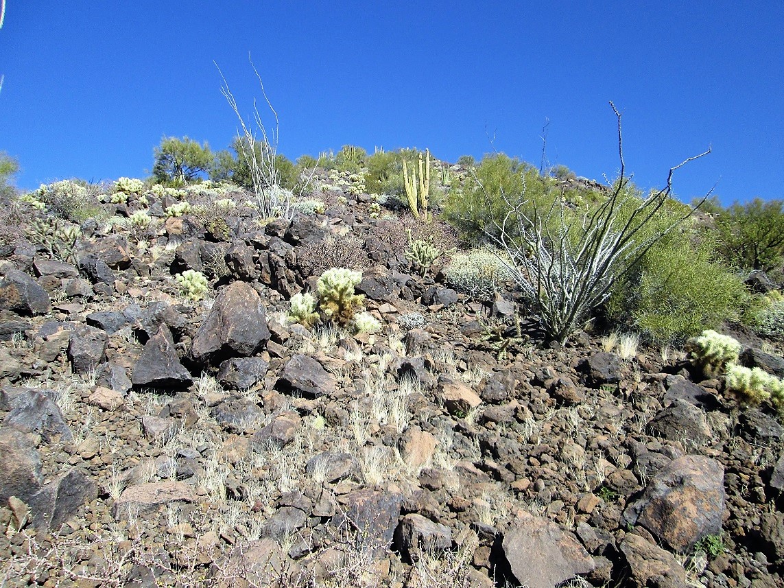 Guadu Benchmark Cipriano Hills, Arizona