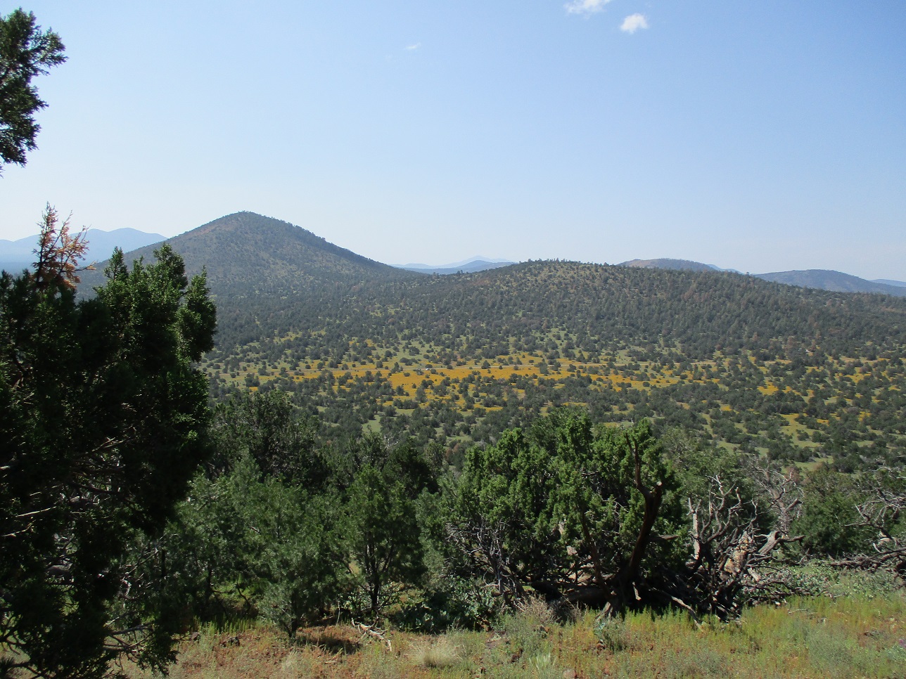Hobble Mountains, Arizona