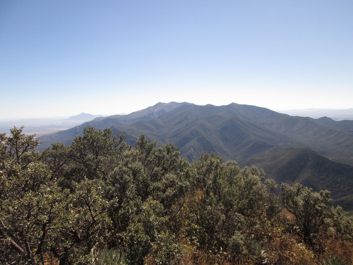 Huachuca Peak, Arizona