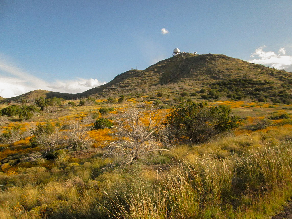 Humboldt Mountain, Arizona