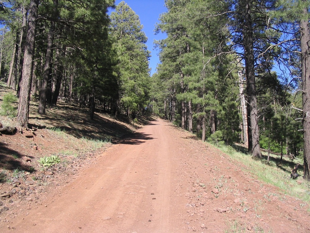 Hutch Mountain AZ www.surgent