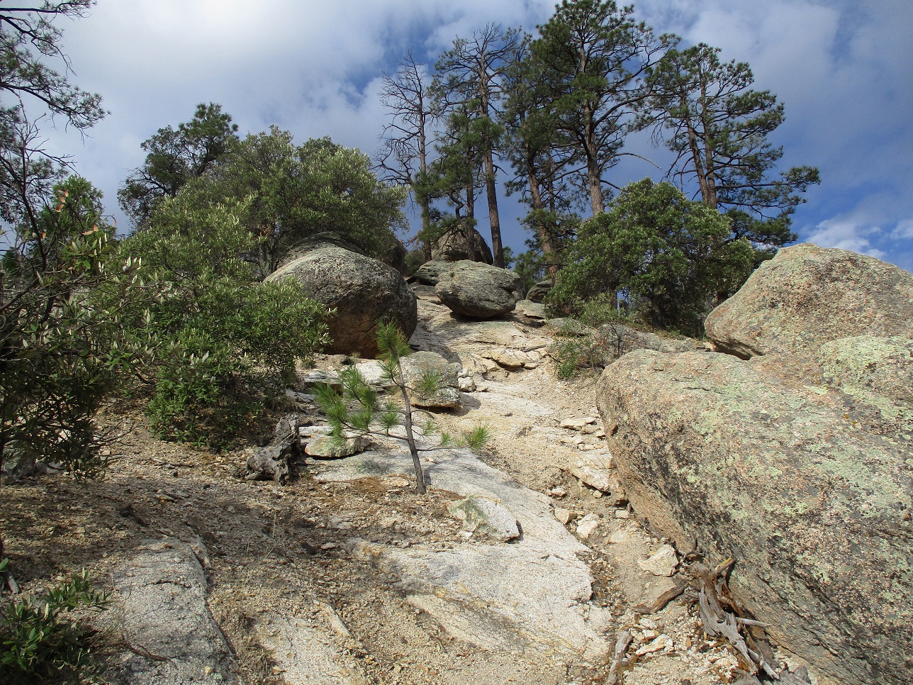 Lizard Rock, Arizona