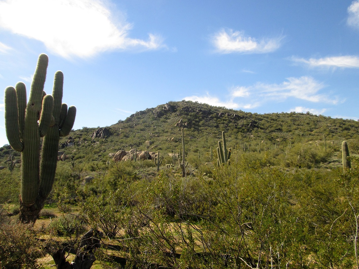 Lone Mountain Sincuidados, Arizona