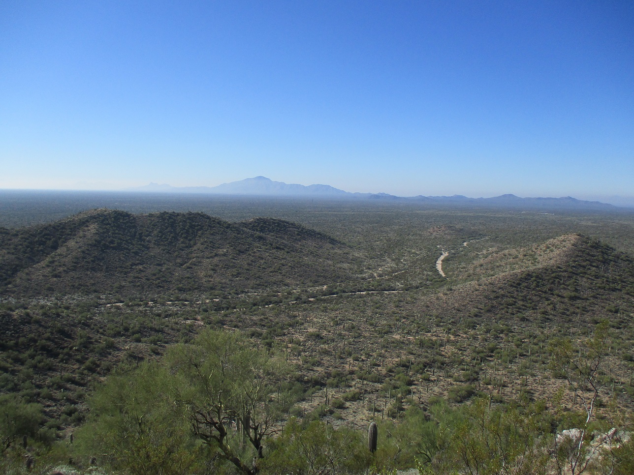 Middle Mountain, Arizona