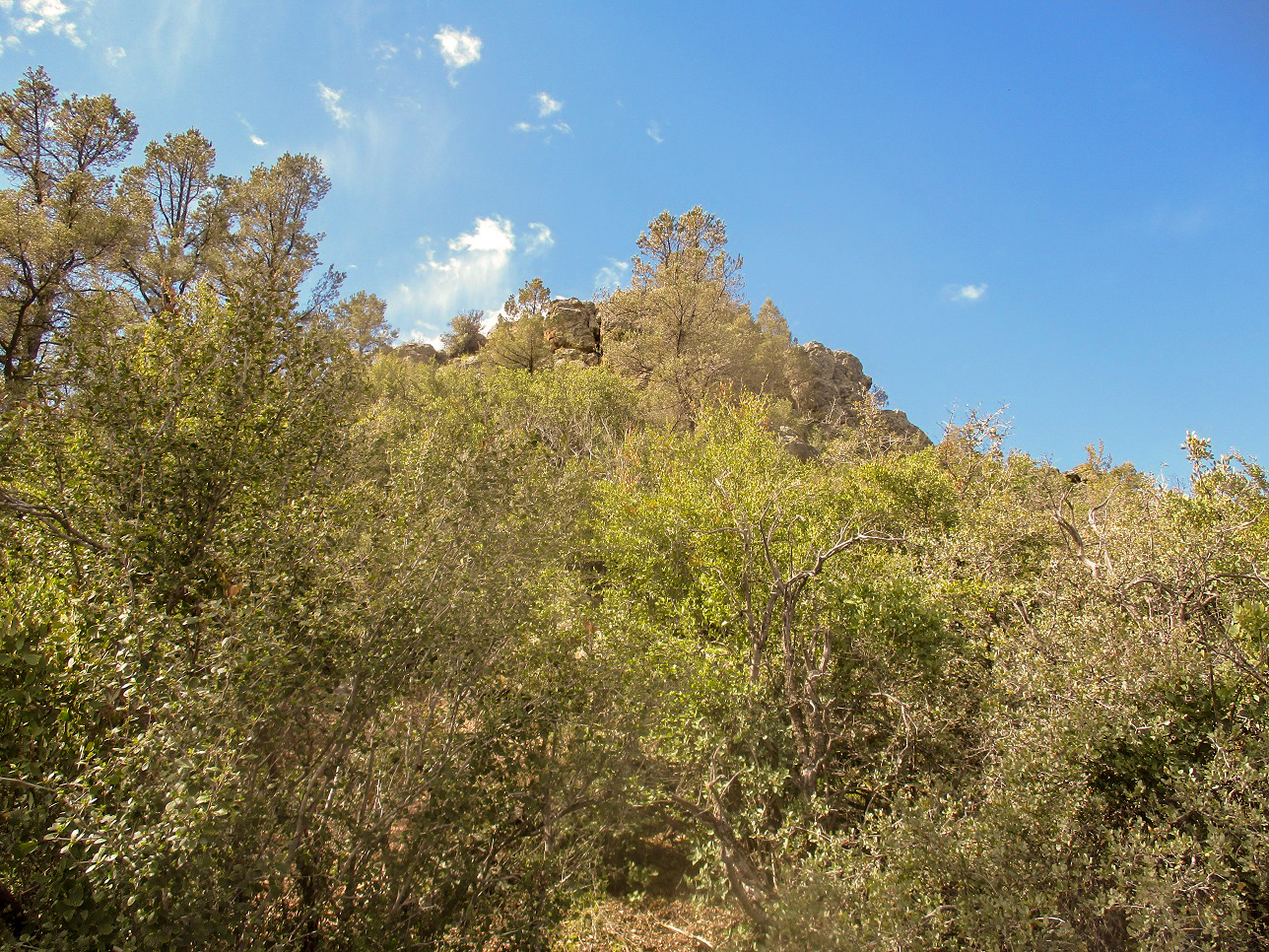 Monument Peak Yerba Senta Butte, Arizona