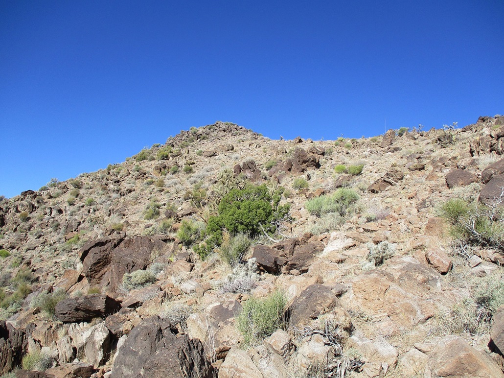 Nutt Benchmark, Arizona