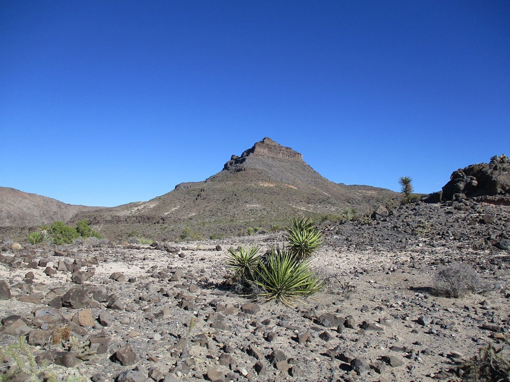 Nutt Benchmark, Arizona