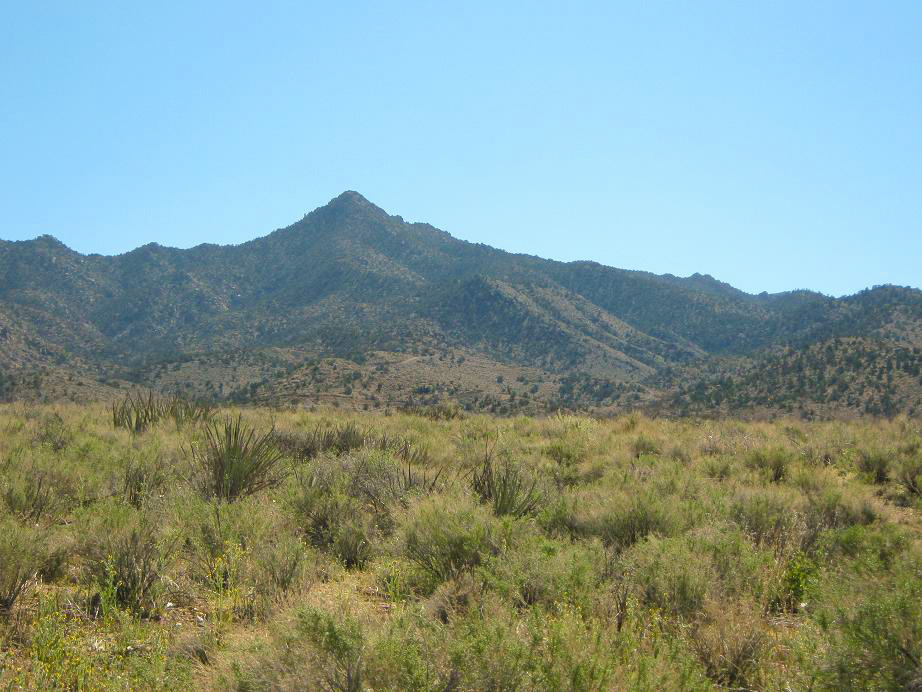 Peacock Peak, Arizona