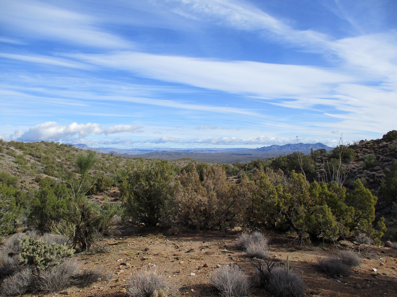 Poachie Range, Arizona