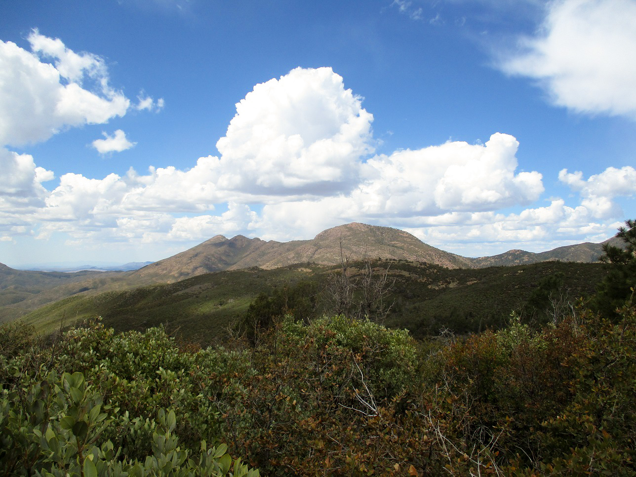 Mount Peeley, Arizona