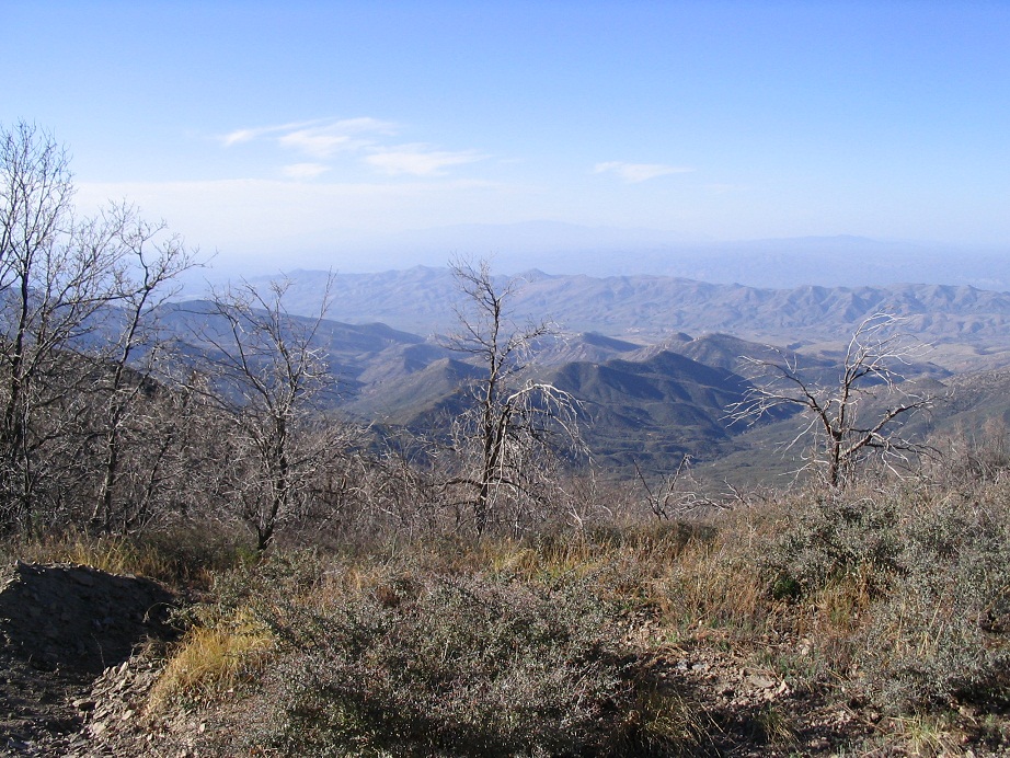 Pinal Peak, Arizona