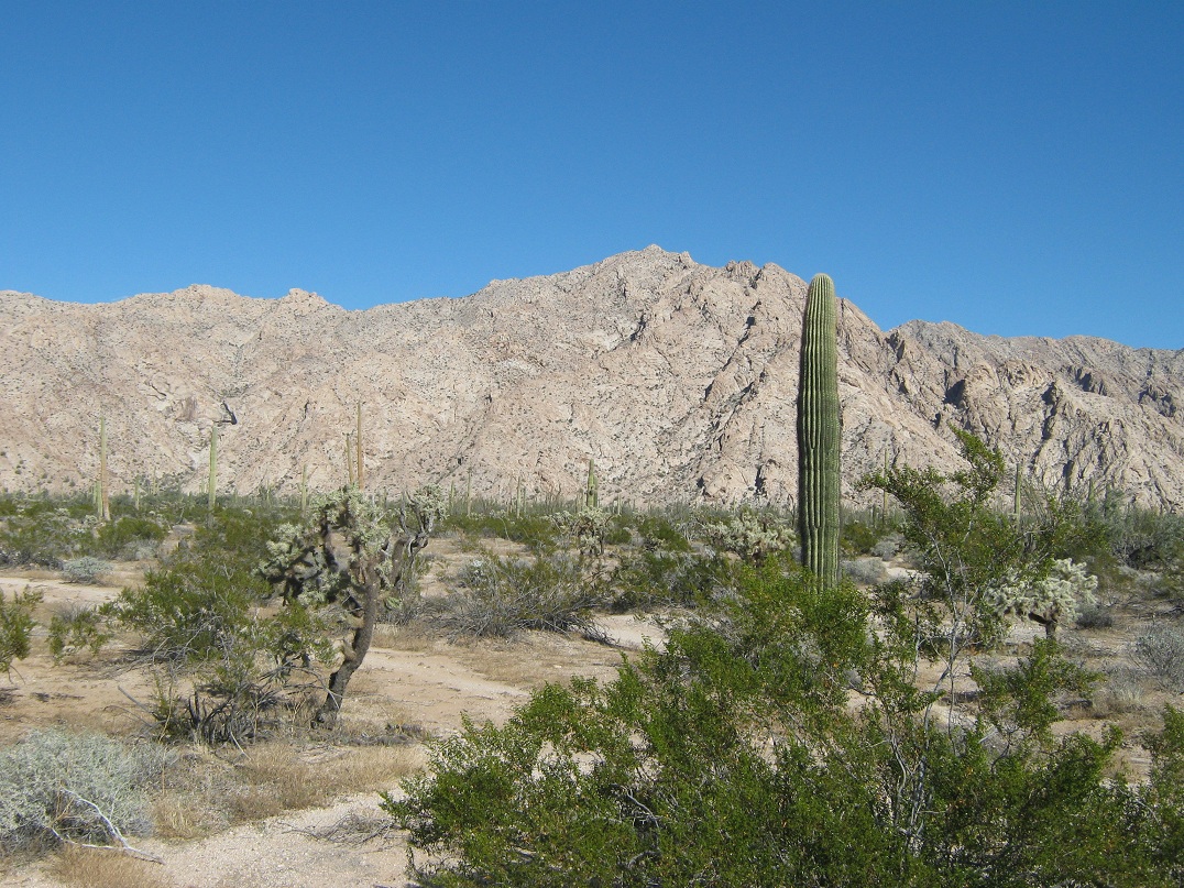 Pinta Benchmark, Arizona